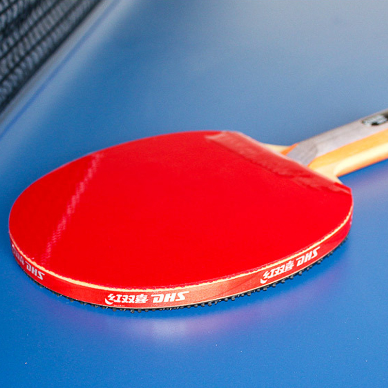 DHS Self-adhesive Table Tennis - огляд і ціна Table Tennis Joola