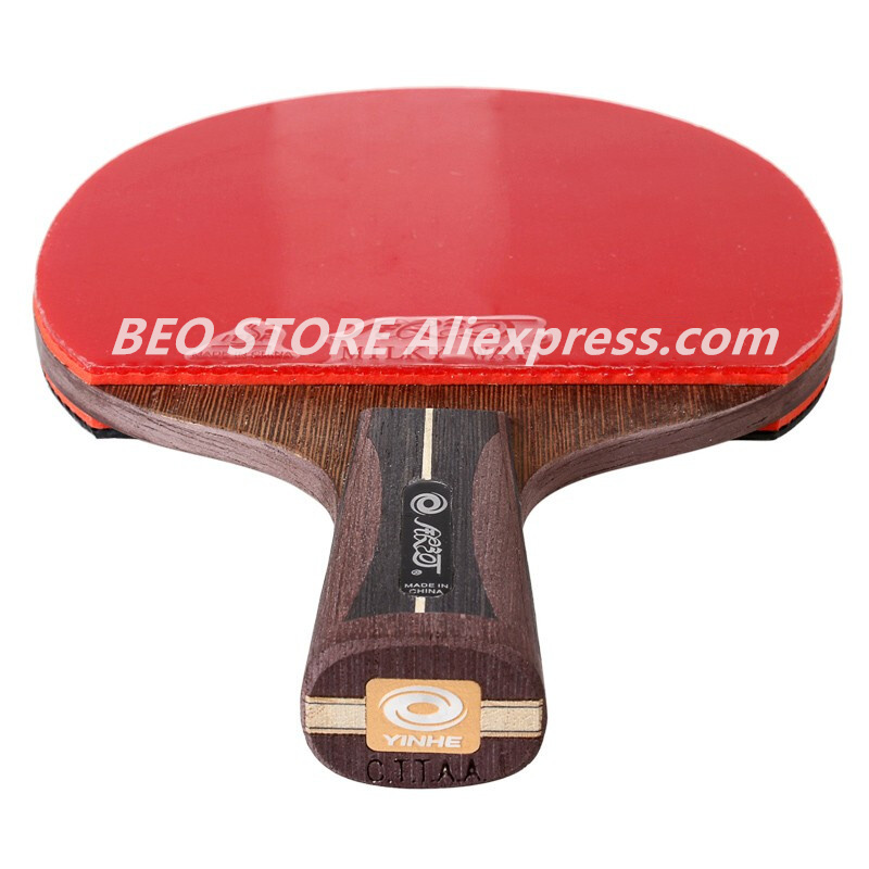 YINHE 12-Star Racket Galaxy Ar - огляд і ціна Table Tennis Joola